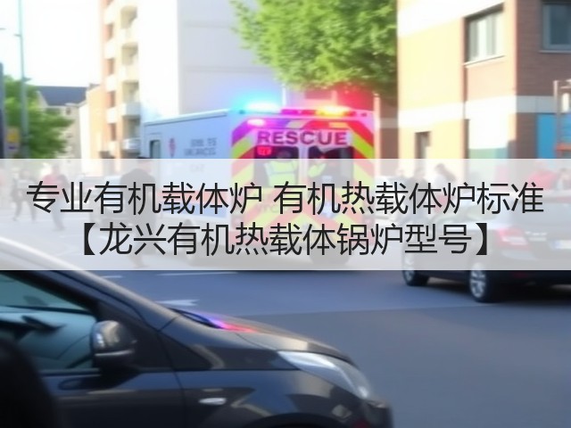 专业有机载体炉 有机热载体炉标准 【龙兴有机热载体锅炉型号】(图2) 专业有机载体炉 有机热载体炉标准 【龙兴有机热载体锅炉型号】(图2)