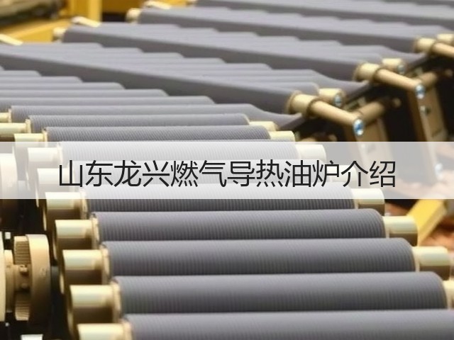 山东龙兴燃气导热油炉介绍(图2) 山东龙兴燃气导热油炉介绍(图2)